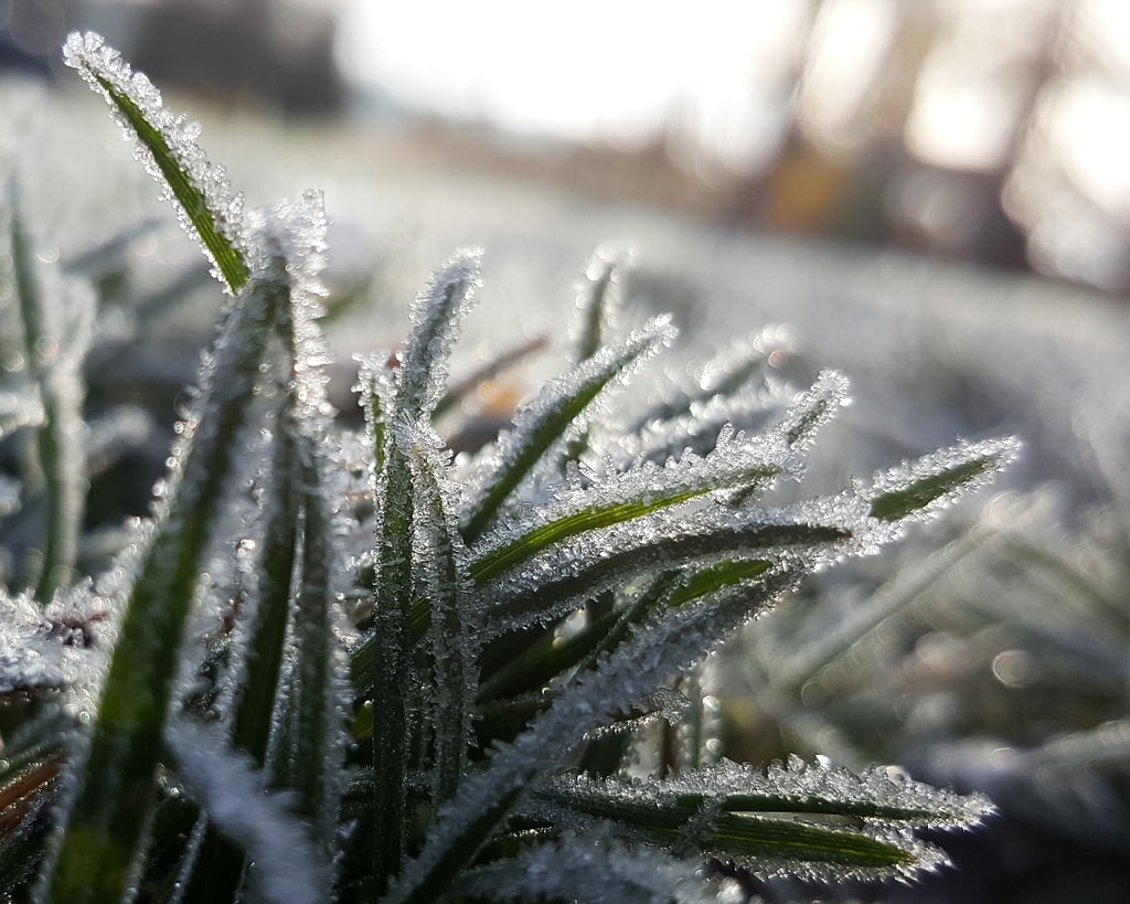 6 Landscaping Tips for Winter shaun holloway n yJQtxzD5s unsplash