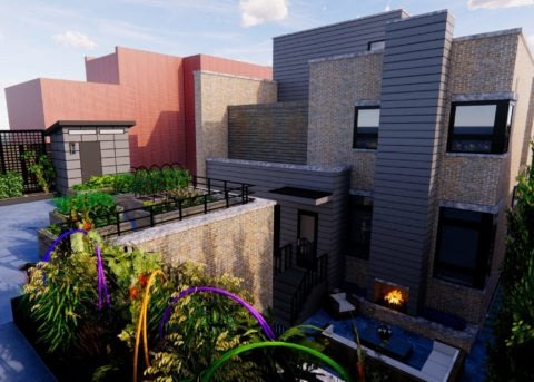 30-Minute Consultation Rooftop Garden scaled e1614823037432