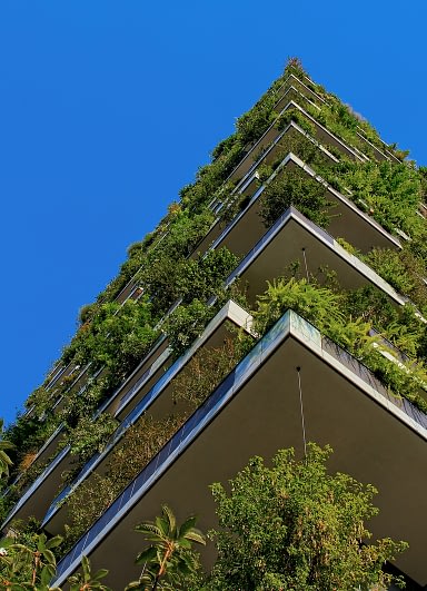 What Are the Benefits of Sustainable Landscaping? ricardo gomez angel WsEAiVwGrwo unsplash