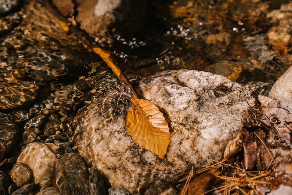 What's the Best Time to Do Fall Yard Cleaning? pexels marta wave 5875937 2